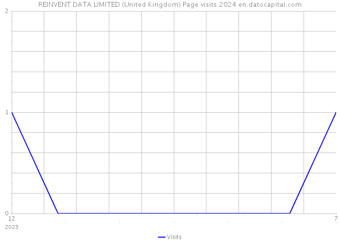 REINVENT DATA LIMITED (United Kingdom) Page visits 2024 