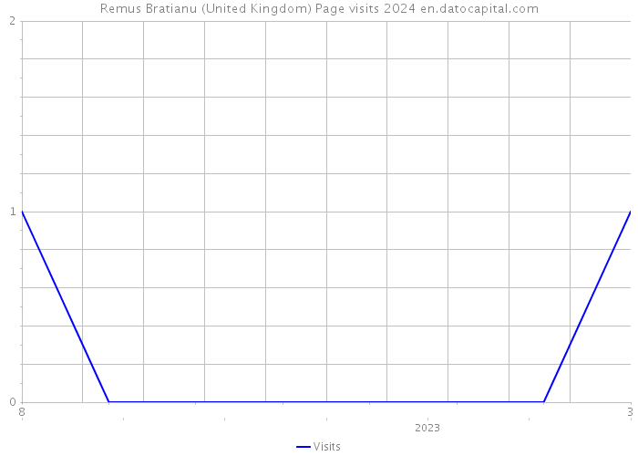Remus Bratianu (United Kingdom) Page visits 2024 