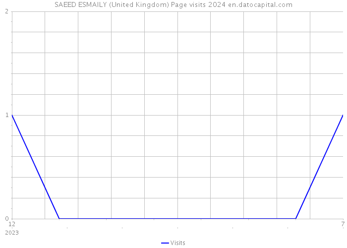 SAEED ESMAILY (United Kingdom) Page visits 2024 