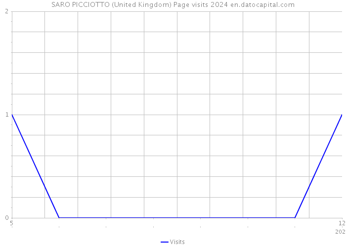 SARO PICCIOTTO (United Kingdom) Page visits 2024 
