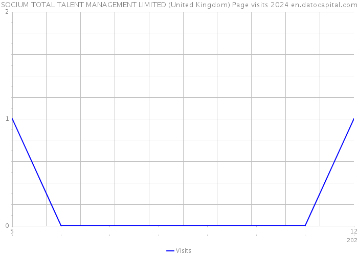SOCIUM TOTAL TALENT MANAGEMENT LIMITED (United Kingdom) Page visits 2024 
