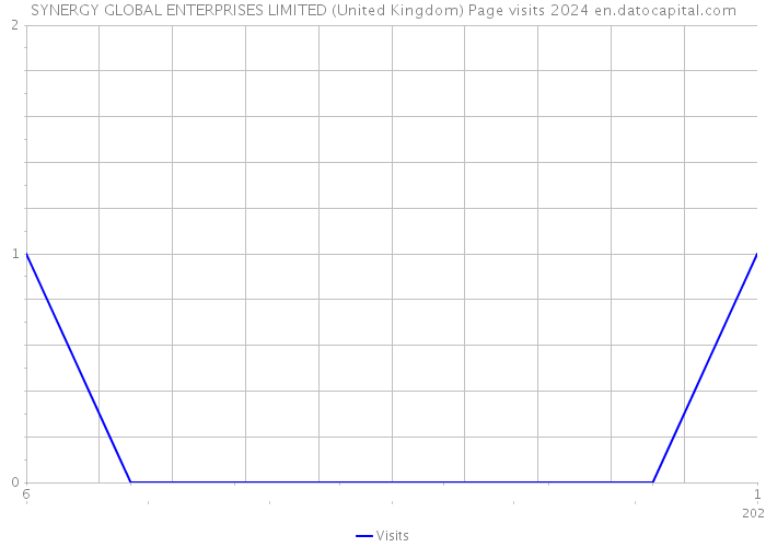 SYNERGY GLOBAL ENTERPRISES LIMITED (United Kingdom) Page visits 2024 
