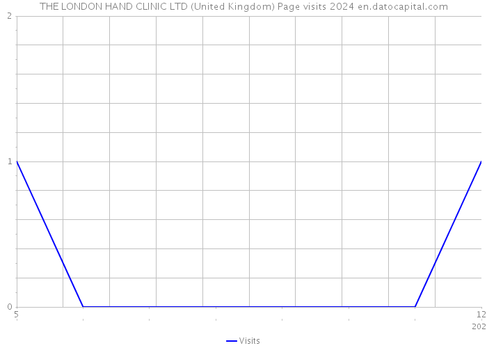 THE LONDON HAND CLINIC LTD (United Kingdom) Page visits 2024 