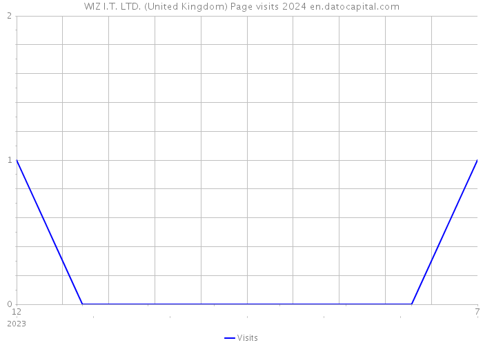 WIZ I.T. LTD. (United Kingdom) Page visits 2024 