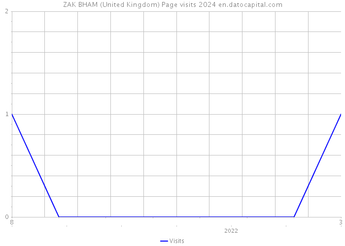 ZAK BHAM (United Kingdom) Page visits 2024 