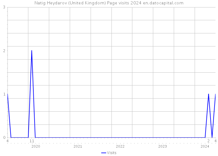 Natig Heydarov (United Kingdom) Page visits 2024 