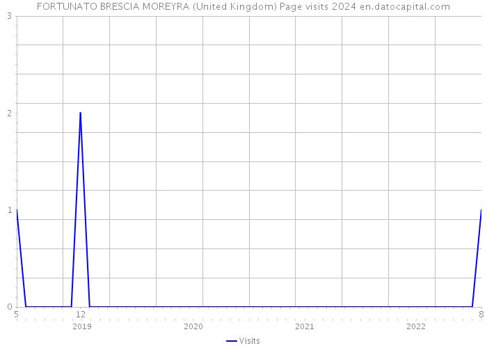 FORTUNATO BRESCIA MOREYRA (United Kingdom) Page visits 2024 