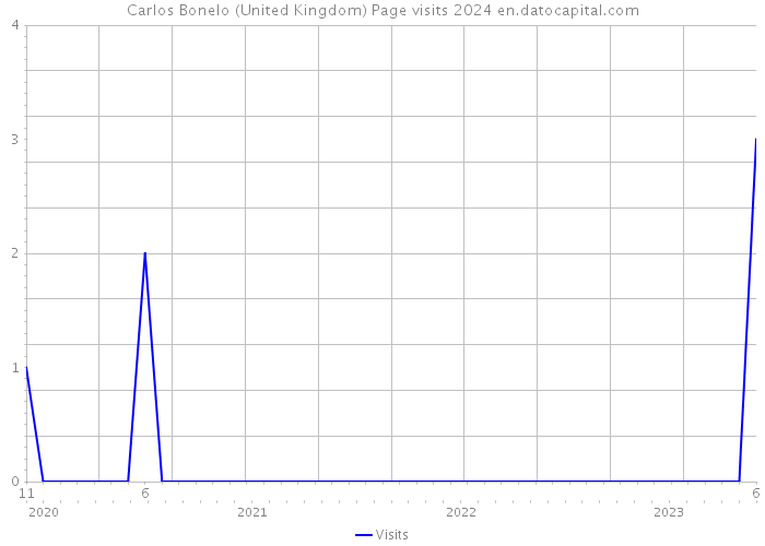 Carlos Bonelo (United Kingdom) Page visits 2024 