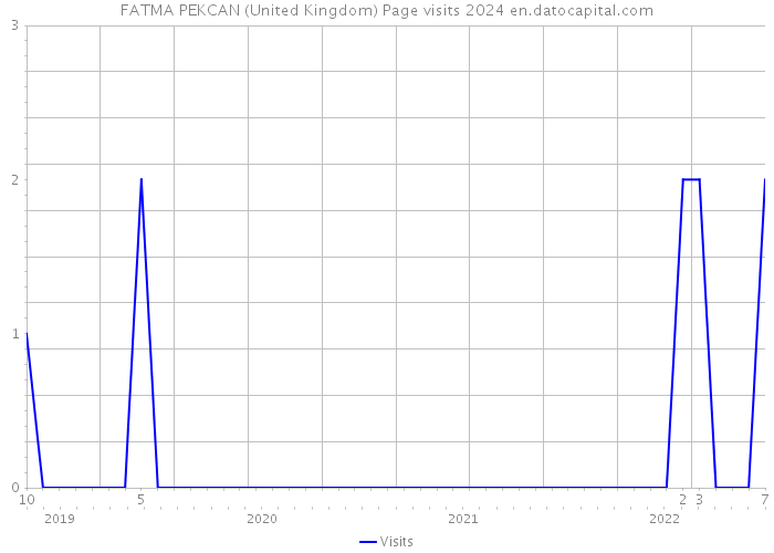 FATMA PEKCAN (United Kingdom) Page visits 2024 