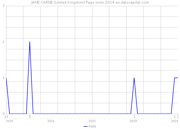 JANE CARNE (United Kingdom) Page visits 2024 