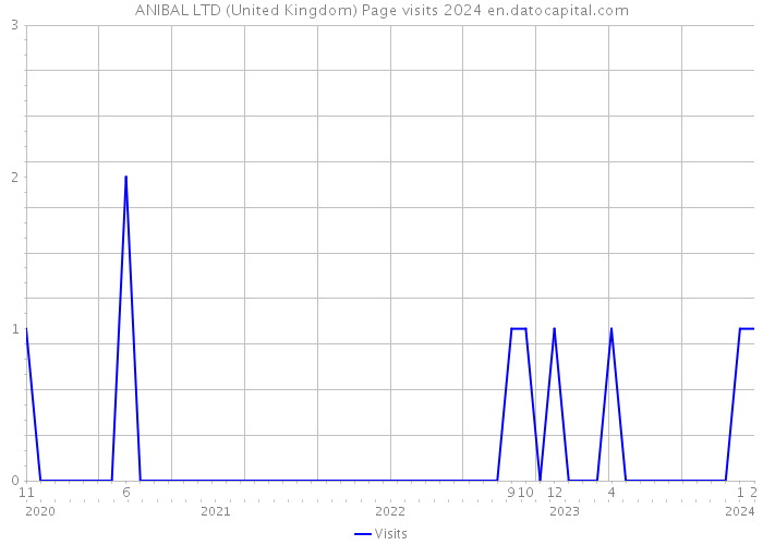 ANIBAL LTD (United Kingdom) Page visits 2024 