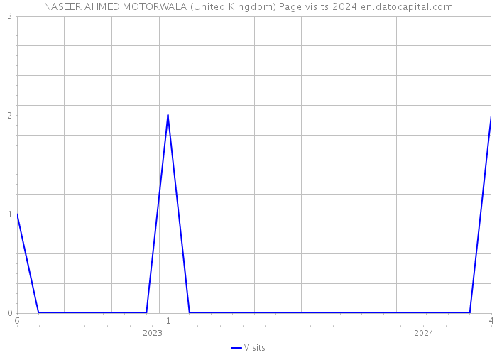 NASEER AHMED MOTORWALA (United Kingdom) Page visits 2024 