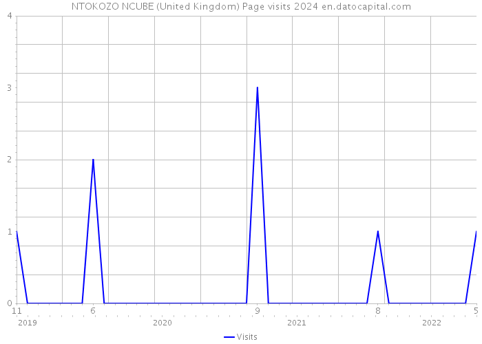 NTOKOZO NCUBE (United Kingdom) Page visits 2024 