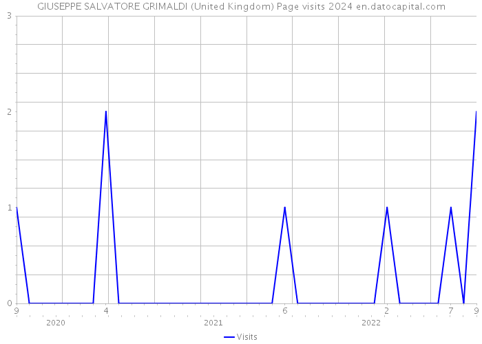 GIUSEPPE SALVATORE GRIMALDI (United Kingdom) Page visits 2024 