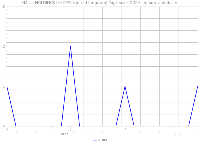 3M UK HOLDINGS LIMITED (United Kingdom) Page visits 2024 