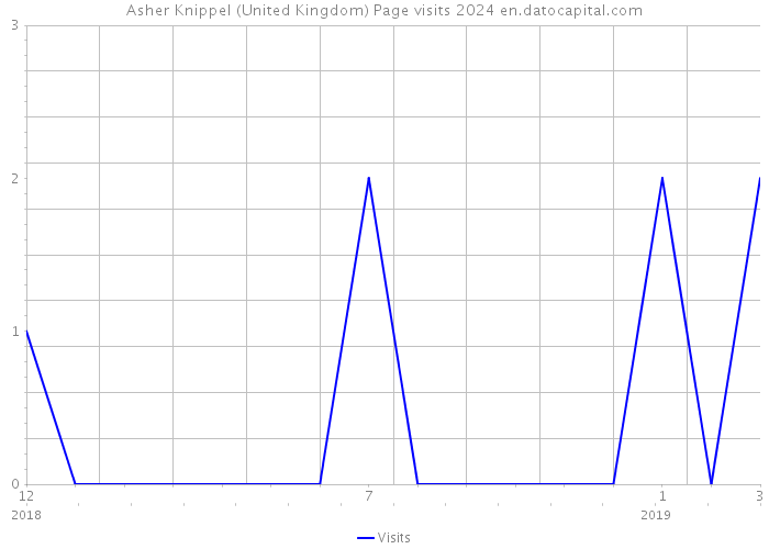Asher Knippel (United Kingdom) Page visits 2024 