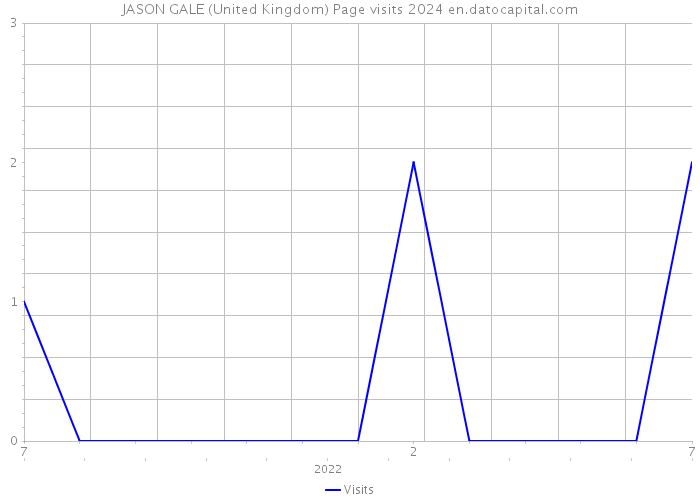 JASON GALE (United Kingdom) Page visits 2024 