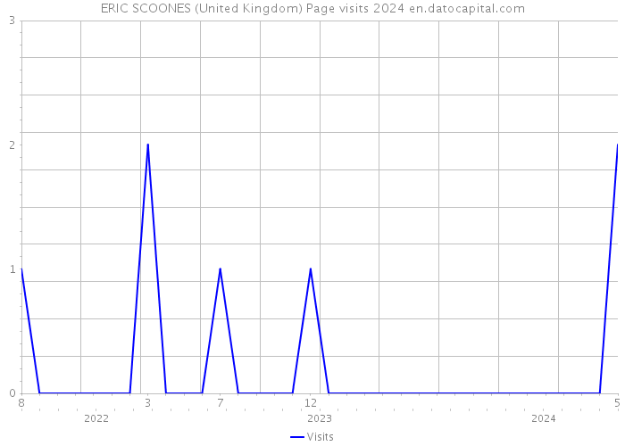 ERIC SCOONES (United Kingdom) Page visits 2024 