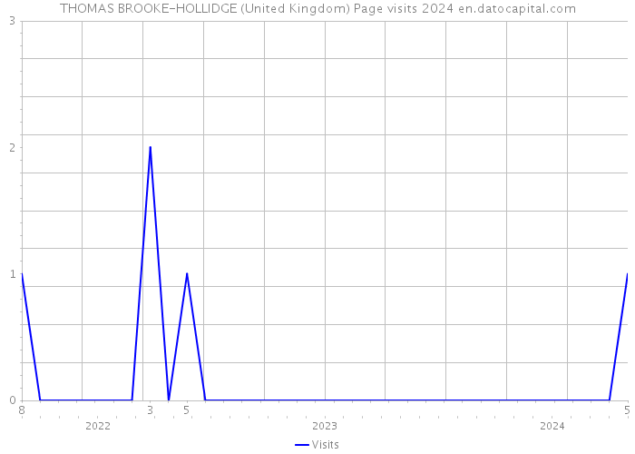 THOMAS BROOKE-HOLLIDGE (United Kingdom) Page visits 2024 