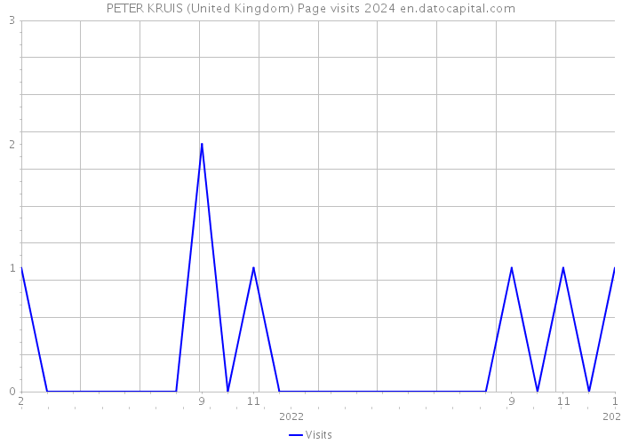 PETER KRUIS (United Kingdom) Page visits 2024 