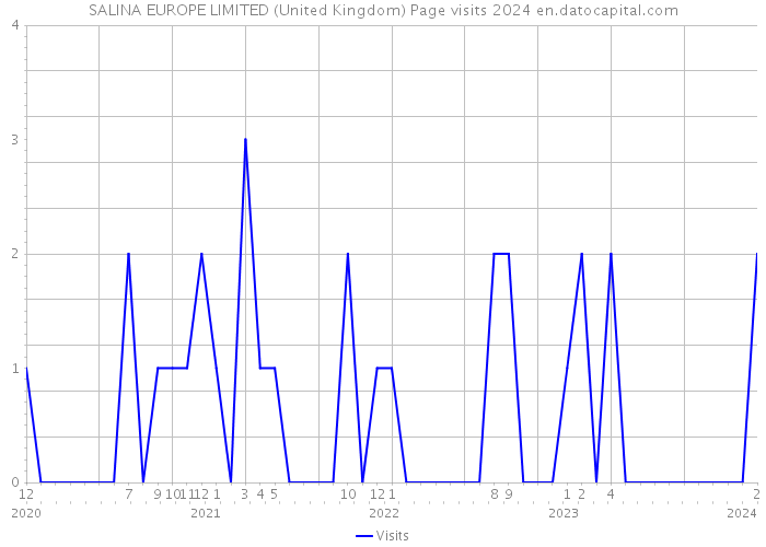 SALINA EUROPE LIMITED (United Kingdom) Page visits 2024 