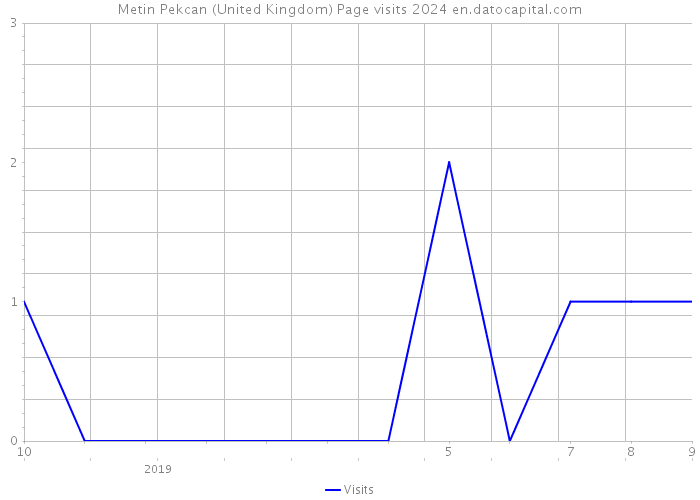 Metin Pekcan (United Kingdom) Page visits 2024 