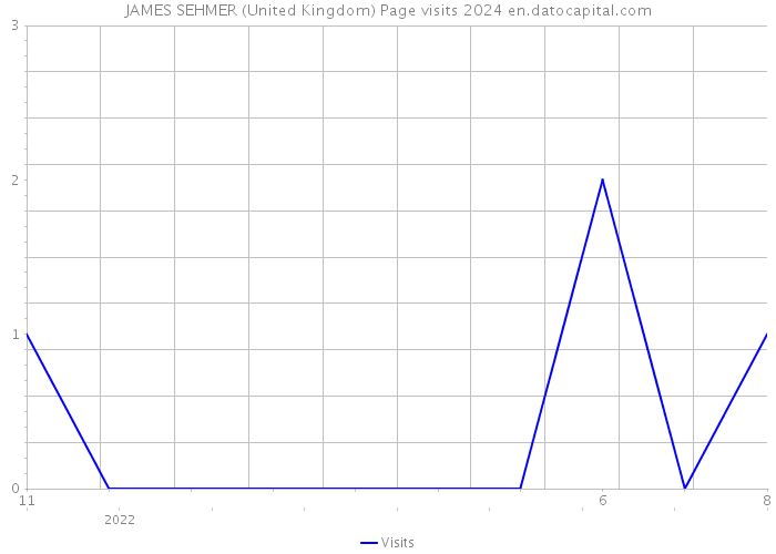 JAMES SEHMER (United Kingdom) Page visits 2024 