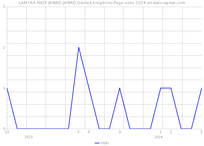 LAMYAA HADI JAWAD JAWAD (United Kingdom) Page visits 2024 