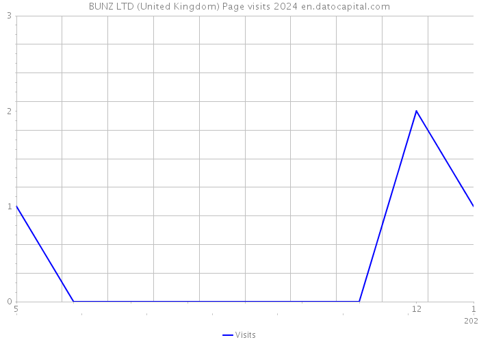 BUNZ LTD (United Kingdom) Page visits 2024 