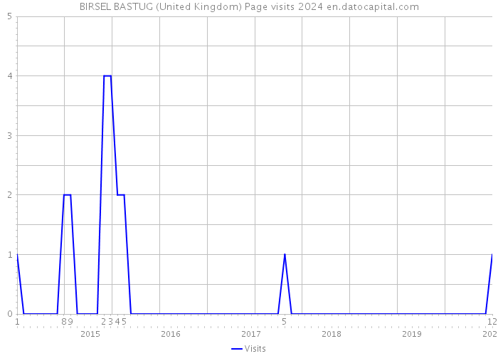 BIRSEL BASTUG (United Kingdom) Page visits 2024 