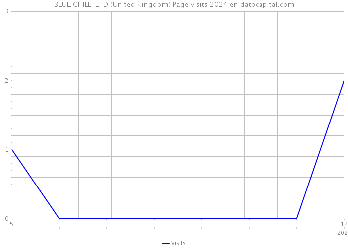 BLUE CHILLI LTD (United Kingdom) Page visits 2024 