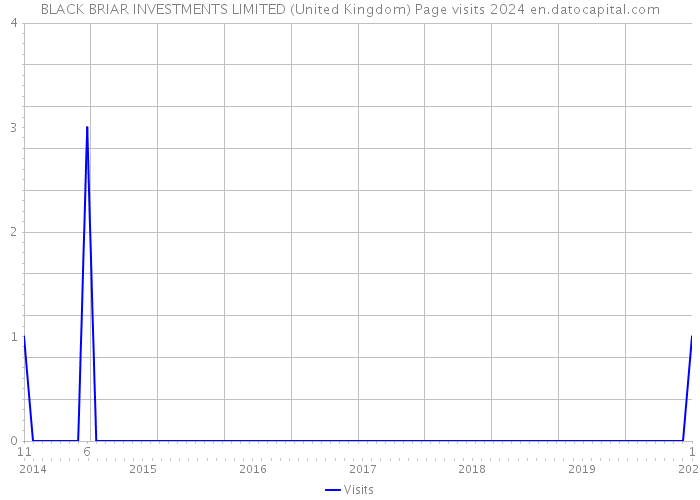 BLACK BRIAR INVESTMENTS LIMITED (United Kingdom) Page visits 2024 