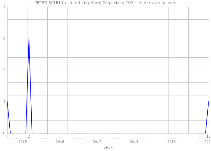 PETER SCULLY (United Kingdom) Page visits 2024 