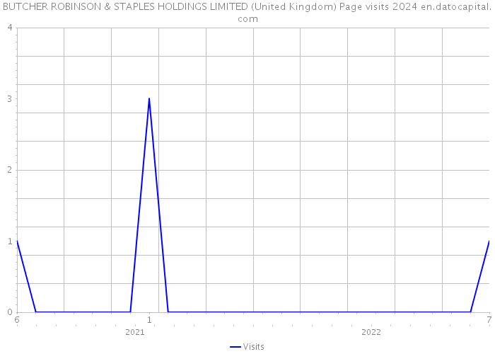 BUTCHER ROBINSON & STAPLES HOLDINGS LIMITED (United Kingdom) Page visits 2024 