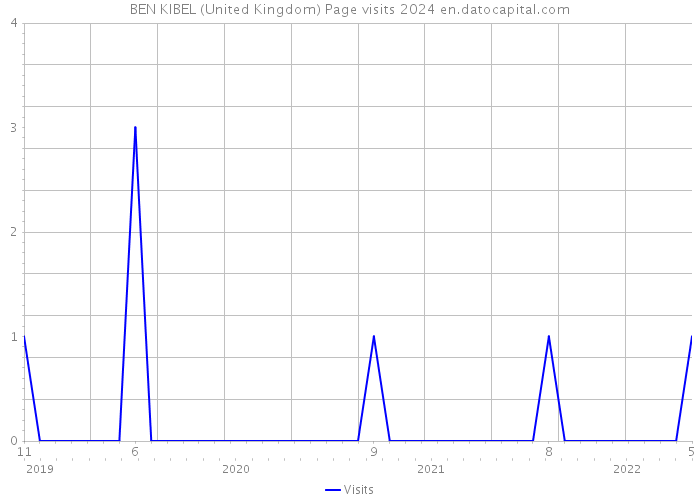 BEN KIBEL (United Kingdom) Page visits 2024 