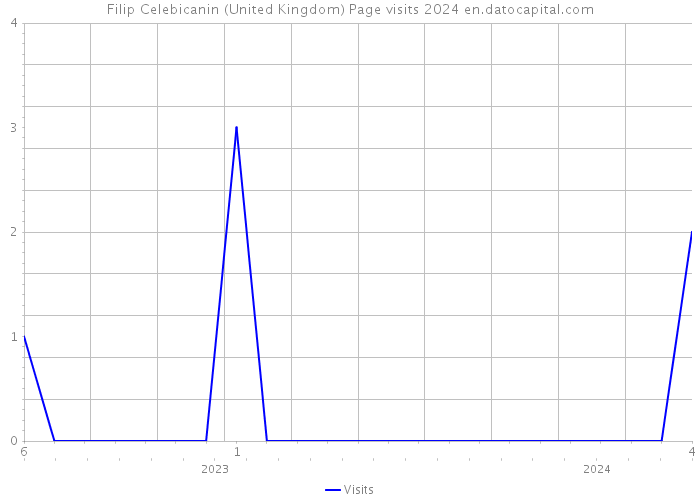 Filip Celebicanin (United Kingdom) Page visits 2024 