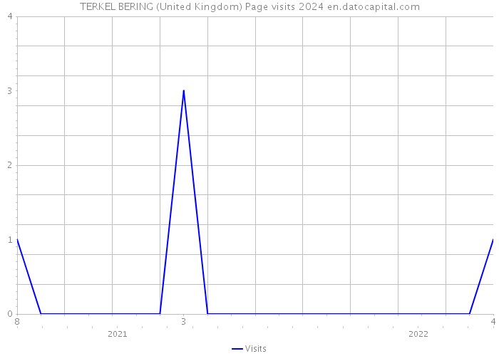 TERKEL BERING (United Kingdom) Page visits 2024 