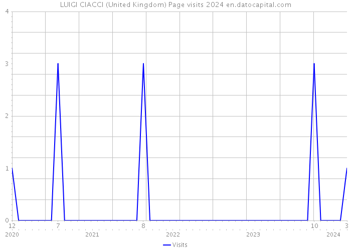LUIGI CIACCI (United Kingdom) Page visits 2024 