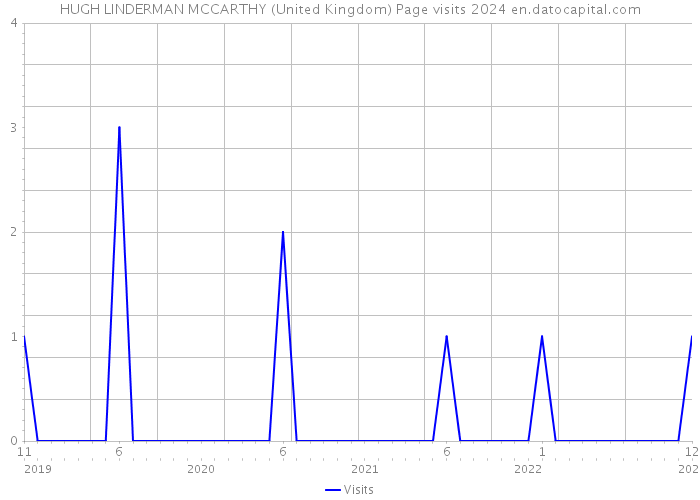 HUGH LINDERMAN MCCARTHY (United Kingdom) Page visits 2024 
