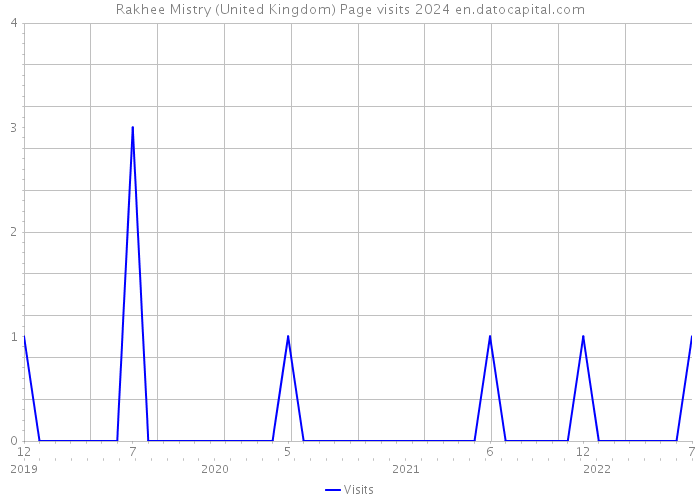 Rakhee Mistry (United Kingdom) Page visits 2024 