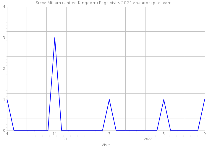 Steve Millam (United Kingdom) Page visits 2024 