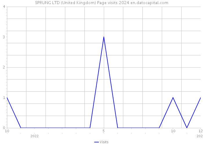 SPRUNG LTD (United Kingdom) Page visits 2024 