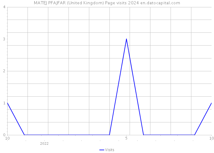 MATEJ PFAJFAR (United Kingdom) Page visits 2024 