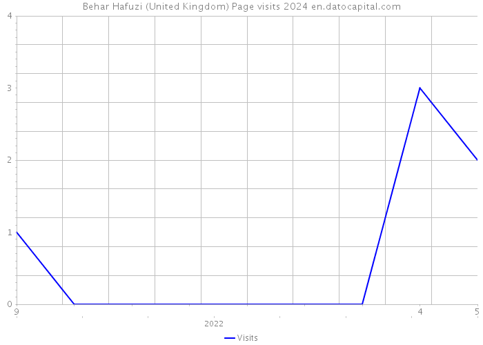 Behar Hafuzi (United Kingdom) Page visits 2024 