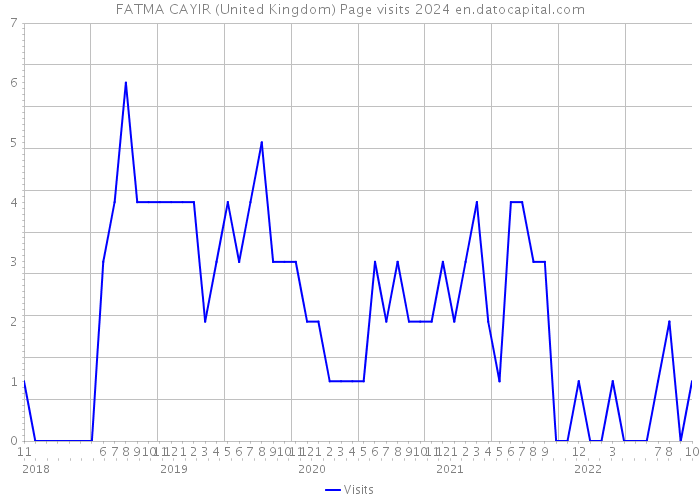 FATMA CAYIR (United Kingdom) Page visits 2024 