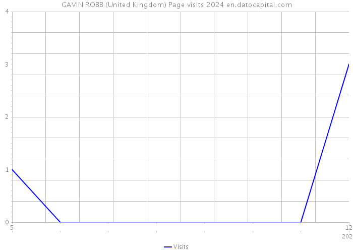 GAVIN ROBB (United Kingdom) Page visits 2024 