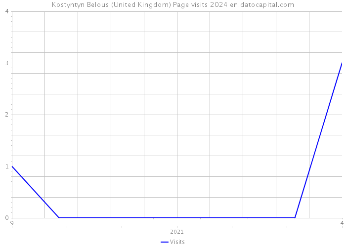 Kostyntyn Belous (United Kingdom) Page visits 2024 