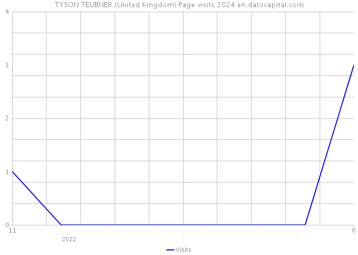 TYSON TEUBNER (United Kingdom) Page visits 2024 