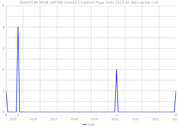 QUANTUM SPINE LIMITED (United Kingdom) Page visits 2024 