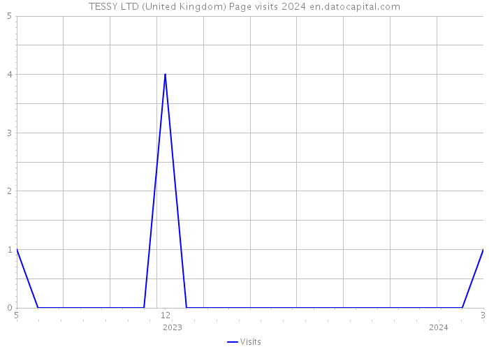 TESSY LTD (United Kingdom) Page visits 2024 